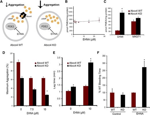 Figure 6. ABCC4 interacts with phosphodiesterase to affect aggregation and bleeding time. (A) Model depicting how ABCC4 affects platelet cAMP (yellow circle) and aggregation after treatment with the PDE2 inhibitor, EHNA. (B) ABCC4 function was assessed with a PMEA accumulation assay conducted in the presence and absence of either EHNA or (C) the bona fide ABCC4 inhibitor, MK571, using Abcc4 WT and KO-derived MEF cell lines (P < .05) (n = 5). (D) Maximum platelet aggregation of Abcc4 WT and KO platelets after blocking PDE2 activity with various concentrations of EHNA. (E) Lag time in Abcc4 WT and KO platelet aggregation after blocking PDE2 activity with EHNA. (F) Mice were treated with either vehicle or EHNA, and tail bleeding time was determined 30 minutes after drug administration. Abcc4 WT (n = 7) and Abcc4 KO (n = 5) (*P value < .01). The platelet aggregation data were derived from experiments performed at least 3 times using pooled PRP derived from 3 to 5 mice for each genotype. P < .05. Untxt, untreated.