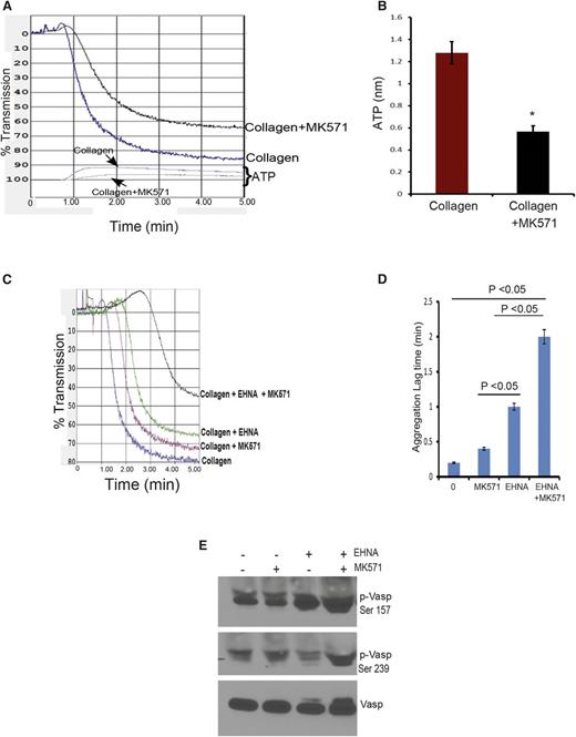 Figure 8. Blocking ABCC4 function in human platelets coupled with PDE inhibition markedly attenuates aggregation. (A) Blocking of human ABCC4 with MK571 reduces the rate and extent of platelet aggregation. (B) The amount of ATP released from platelets is reduced after ABCC4 inhibition. (C) Human platelet aggregation by collagen is strongly reduced by the combination of the PDE2 inhibitor EHNA and the ABCC4 inhibitor MK571. (D) Lag time (in minutes) in collagen-mediated platelet aggregation after the addition of either the PDE2 inhibitor EHNA, the ABCC4 inhibitor MK571, or both in combination. (E) A representative immunoblot of whole-cell lysates prepared from human platelets treated with EHNA, MK571, or EHNA+MK571 for 30 minutes. Blots were probed with p-Vasp (Ser 157 or Ser 239) and total Vasp antibodies.