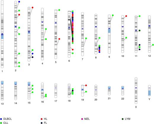Figure 1. GWAS-discovered loci for lymphoma subtypes mapped to chromosomal location. Except for 6p21 and 8q24, there is minimal or little overlap of loci for lymphoma subtype-specific susceptibility loci. Lym, lymphoma.