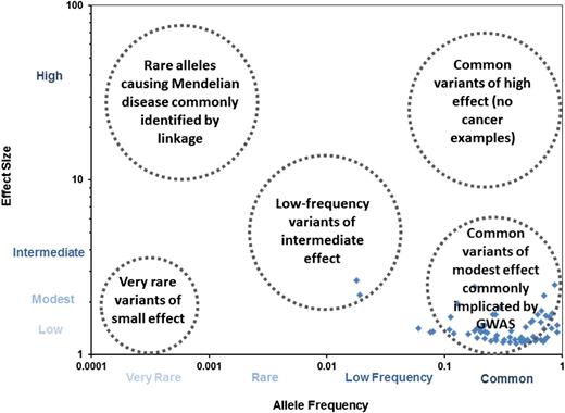 Figure 2. Lymphoma susceptibility loci by effect size and AF. The blue diamonds represent established lymphoma susceptibility loci plotted by AF (x-axis) vs effect size (y-axis). For lymphoma, most of the loci are common variants of low to modest effect size (mainly discovered by GWAS), although a few low-frequency variants have been identified. No rare alleles of low frequency (generally identified through linkage studies and sequencing) have been definitively linked to lymphoma. Very rare variants of low effect size are difficult to identify using current genetic approaches, whereas there are very few examples of common variants of high effect size for common diseases (and none in lymphoma).