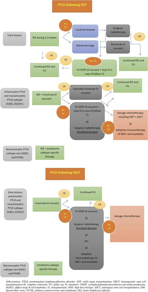 Figure 3. Proposed treatment algorithm for PTLD after SOT or HSCT. ASCT, autologous stem cell transplant; CR, complete remission; DLI, donor lymphocyte infusion; FU, follow-up; HDT, high-dose therapy; IS, immune suppression; PCNSL, primary CNS lymphoma; R-CHOP, sequential immunochemotherapy with rituximab followed by CHOP; Tx, transplant.