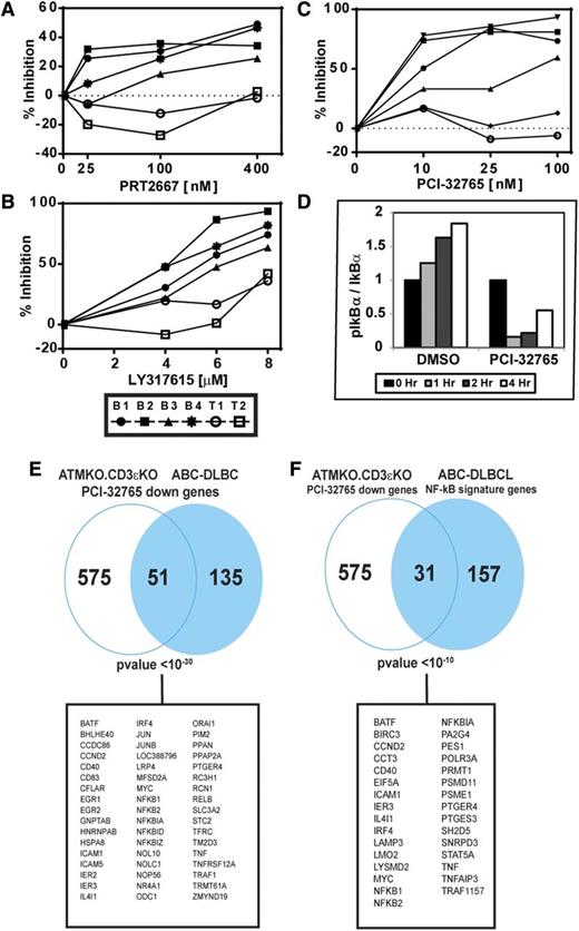 Figure 6. Inhibition of BCR signaling suppresses cell recovery and NF-κB activation in ATMKO.CD3εKO B-cell lymphomas. ATMKO.CD3εKO B-cell lymphoma lines (closed symbols) and ATMKO T-cell lymphoma lines (open symbols) were cocultured with titrated amounts of PRT2667 (Syk inhibitor) (A), Ly317615 (PKCβ inhibitor) (B), or PCI-32765 (BTK inhibitor) (C). For panels A-C, viable cells were counted, and inhibition was calculated as described in “Materials and methods.” Data are representative of 3 independent experiments examining survival of 4 to 6 B-cell lymphomas and 2 to 4 T-cell lymphomas in each experiment. (D) Inhibition of BTK signaling suppresses NF-κB activation in ATMKO.CD3εKO tumors. Lymphoma cells were treated with DMSO or the BTK inhibitor PCI-32765 (100 nM) for the indicated time points and lysed, and sequential western blot analyses were performed to detect p-IkBα, total IkBα, and β-actin expression. Band intensities were quantitated and then normalized to β-actin. NF-κB activation was expressed as the p-Ikbα/IkBα ratio at each time point relative to the value at time = 0 hours. Data are representative 3 independent experiments examining NF-κB activation in 2 B-cell lymphomas. Signature analysis comparing genes downregulated in ATMKO.CD3εKO tumors (n = 2) treated with PCI-32756 (100 nM; 6 hours at 37°C) to genes downregulated in a human ABC DLBCL cell line similarly treated with PCI-32756 (E) or to an NF-κB signaling signature derived from human ABC DLBCL (F). Genes identified as downregulated in panels E-F were at least 1.3-fold downregulated in ≥50% of the samples analyzed at the 6-hour treatment point. P values for the overlaps and the genes common to both tumors are shown.