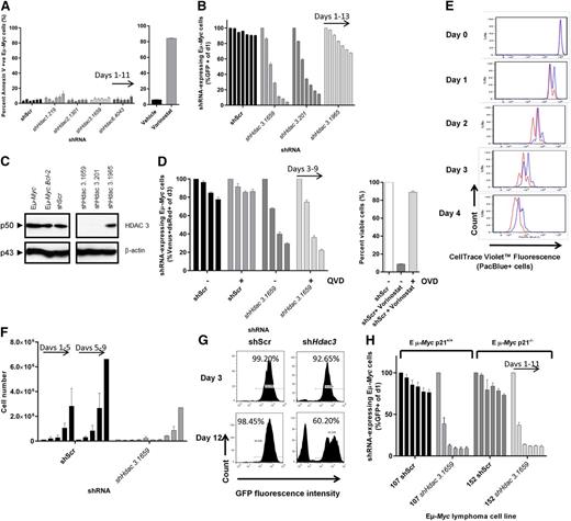 Figure 4. Depletion of Hdac3 in Eµ-Myc lymphoma induces an antiproliferative response that is not affected by genetic or pharmacological apoptosis inhibitors or by loss of p21WAF1/CIP1. Eµ-Myc lymphoma cells were transduced with pTRMPV-Neo vectors expressing shHdac3 or control shScr cassettes, isolated by FACS (100% GFP+), serially passaged (±dox) for up to 15 days. (A) The induction of apoptosis was assessed by phosphatidylserine externalization (Annexin V+) using flow cytometry. As a positive control, we treated Eµ-Myc lymphoma cells with vorinostat (24 hours, 1 µM). Data are presented as percentage of Annexin V positive cells (mean ± SEM, n = 2 biological replicates). Individual bars demonstrate day of analysis (days 1, 3, 5, 7, 9, 11). (B-C) Eµ-Myc lymphoma cells (no. 107) were stably transduced with pMSCV.Bcl-2-mCherry to overexpress pro-survival Bcl-2. Eµ-Myc.Bcl-2 lymphoma cells were then transduced with constitutive vectors expressing shRNAs against Hdac3 or shScr, serially passaged, and assessed by (B) competitive proliferation assay where the percentage of GFP+ cells were normalized to day 1 and individual bars represent days of analysis (days 1, 3, 5, 7, 9, 11, 13; 3 individual shRNAs were tested; 2 biological replicates) and (C) HDAC3 depletion was confirmed by western blot. A representative experiment from 3 biological replicates is shown. Molecular weights of individual proteins are to the left of the blot. (D) Caspase activation was inhibited by treating Eµ-Myc lymphoma cells expressing dox-inducible shRNAs with pan-caspase inhibitor QVD (10 µM, n = 3 biological replicates); cell growth was assessed using competitive proliferation assays (±dox). Data are presented as mean percentage of shRNA-expressing cells (Venus+/dsRed+, dox-treated only, days 3, 5, 7, 9) and normalized to day 3 ± SEM. The activity of QVD was confirmed in Eµ-Myc cells treated with vorinostat (1 µM) ± QVD (presented as percentage viable cells). The proliferation of Eµ-Myc cells depleted of Hdac3 was measured using a carboxyfluorescein diacetate succinimidyl ester–like assay (CTV) and by cell counting/replating assays. (E) Eµ-Myc cells (no. 107) were transduced with constitutive (pLMS) vectors expressing shHdac3.1659 or shScr, immediately stained with CTV, allowed to expand in culture overnight, and then FACS-sorted to a single population of GFP+/CTV+ (PacBlue+) cells. Cells were serially cultured for up to 5 days and underwent daily assessment of their proliferative capacity by flow cytometry (ie, loss of CTV cells over time; shScr, red line; shHdac3, blue line). Individual plots represent daily flow cytometry analysis and are representative of 3 individual biological experiments. (F) Eµ-Myc lymphoma cells constitutively depleted of Hdac3 were seeded (5 × 103 cells; day 1) into 24-well plates (shScr vs shHdac3) followed by daily cell counts (individual bars represent days 1, 2, 3, 4, 5), then replated (5× 103 cells; day 5) and counted daily (n = 3 biological replicates; bars represent days 5, 6, 7, 8, 9). Data are presented as mean ± SEM. (G) Representative histograms demonstrate the percentages of shRNA-expressing (GFP+) Eµ-Myc cells on days 3 and 12 of cell counting/replating assay. (H) Eµ-Myc.Cdkn1a+/+ (no. 107) or Eµ-Myc.Cdkn1a−/− (no. 152) lymphoma cells were depleted of Hdac3 and cell proliferation was assessed by competitive proliferation assay. Individual bars represent percentages of shRNA-expressing (GFP+) Eµ-Myc cells normalized to day 1 (n = 3 biological replicates; individual bars represent days 1, 3, 5, 7, 9, 11). Data are presented as mean ± SEM.