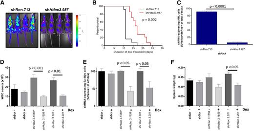 Figure 5. In vivo Hdac3 depletion reduces tumor burden and/or significantly extends the survival of mice bearing AML or Eµ-Myc lymphoma. MLL-AF9;NrasG12D AML cells transduced with dox-inducible shRNA constructs (pTRMPV-Neo) were transplanted into CD45.1+ mice and shRNA expression was induced 2 days after tumor inoculation by addition of dox to food and drinking water (shRen.713, n = 14; shHdac3.987, n = 12). (A) Tumor burden was assessed by bioluminescent imaging following 8 days of dox treatment. (B) Kaplan-Meier curves for survival analysis of mice bearing transplanted AML tumor with indicated pTRMPV-Neo constructs. Day 0 denotes the beginning of dox treatment. Statistical analysis was undertaken using a log-rank (Mantel-Cox) test. (C) Percentage of shRNA-expressing (Venus+/dsRed+) tumor cells in the bone marrow remaining at terminal disease stage were analyzed using a Student t test (P < .0001). Eµ-Myc tumor cells (no. 107) were transduced with dox-inducible pTRMPV-Neo with shRNA cassettes targeting Hdac3 (shHdac3.1659, n = 12; shHdac3.201, n = 12) or shScr control (n = 12), FACS-sorted, and transplanted into CD45.1+ mice (5 × 103 cells per mouse). On day 3 postinoculation, mice (n = 6/group) were fed dox in food and water to initiate expression of shRNAs in vivo. Mice were bled and sacrificed on day 10 to assess (D) WBC count, (E) percentage of tumor cells (Venus+) in PB by flow cytometry, and (F) spleen size in mice bearing Eµ-Myc lymphoma. Data are presented as mean ± SEM. Two biological experiments were undertaken. Data were analyzed using one-way ANOVAs and appropriate post-hoc tests.