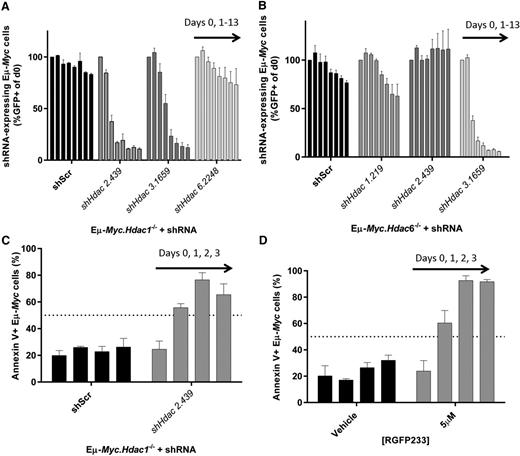 Figure 7. A pro-apoptotic effect requires the depletion of Hdac1 and Hdac2 in Eµ-Myc lymphoma. We produced tractable Eµ-Myc lymphoma cells with conditional knockout of Hdac1, Hdac2, or Hdac6 (Eµ-Myc.Hdac1−/−; Eµ-Myc.Hdac2−/−; Eµ-Myc.Hdac6−/−) and transduced these with shRNAs against Hdac1, Hdac2, Hdac3, or Hdac6. (A) Eµ-Myc.Hdac1−/− lymphoma was transduced with constitutive (pLMS) vectors containing shRNA cassettes against Hdac2, Hdac3, or Hdac6, FACS-sorted to approximately 50% GFP+, and 50% GFP−, and cell representation followed over time using competitive proliferation assays, as described previously. Individual bars represent daily flow cytometry assessment of GFP positive cells (days 0, 1, 3, 5, 7, 9, 11, 13) from 3 independent replicates (mean ± SEM) and normalized to day 0. (B) Effects of constitutively depleting Hdac1, Hdac2, or Hdac3 in Eµ-Myc.Hdac6−/− cells using competitive assays. Each bar represents different days of testing: days 0, 1, 3, 5, 7, 9, 11, 13. Data are presented as mean ± SEM of 3 biological replicates. (C) Eµ-Myc.Hdac1−/− cells transduced with shHdac2.439 were FACS-sorted (GFP+) immediately following transduction and assessed for the induction of apoptosis by Annexin/propidium iodide staining using flow cytometry. Individual bars represent daily mean percentages of Annexin V–positive cells (days 0, 1, 2, 3) ± SEM (3 biological replicates). (D) Eµ-Myc lymphoma cells (no. 107) were treated with HDAC1/2-selective RGFP233 (5 µM) and assessed for apoptosis (Annexin/propidium iodide) by flow cytometry at indicated time points. Data are presented as mean ± SEM (3 biological replicates).