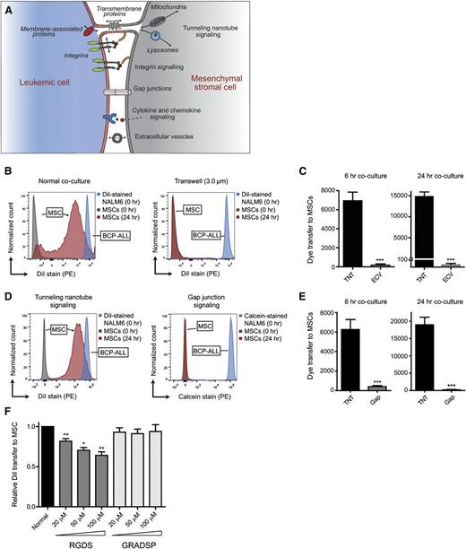 Figure 4. TNTs are important players in signaling from BCP-ALL cells to MSCs. (A) Model of crosstalk between leukemic cells and MSCs in the hematopoietic niche. (B) Graphs showing quantification of dye transfer from DiI-stained NALM6 cells toward unstained hTERT-MSCs. Blue and gray histograms represent staining intensity at the start of each experiment. Red histogram represents signaling efficiency via TNTs (normal coculture; left panel) and via ECVs (3.0-μm transwell; right panel). (C) Bar graphs of experiment shown in panel B after 6 hours (left panel) and 24 hours (right panel) of coculture (n = 4; 2-tailed t test, unpaired). (D) Graphs showing quantification of dye transfer from BCP-ALL cell line NALM6, stained with either DiI or calcein, toward primary MSCs after 24 hours of coculture. Blue and gray histograms represent staining intensity at the start of each experiment. Red histogram shows signaling efficiency via TNTs (left panel) and via gap junctions (right panel). (E) Bar graphs of experiment shown in panel D after 8 hours (n = 6; left panel) and 24 hours (n = 4; right panel) of coculture (2-tailed t test, unpaired). (F) Bar graphs representing dye transfer from DiI-stained REH cells toward unstained primary MSCs with and without integrin blocking. Integrin signaling was blocked by addition of RGDS peptide, and compared with addition of the integrin nonbinding peptide GRADSP (n = 5; 1-tailed t test, paired). Data are means ± SEM; *P ≤ .05, **P ≤ .01, ***P ≤ .001.