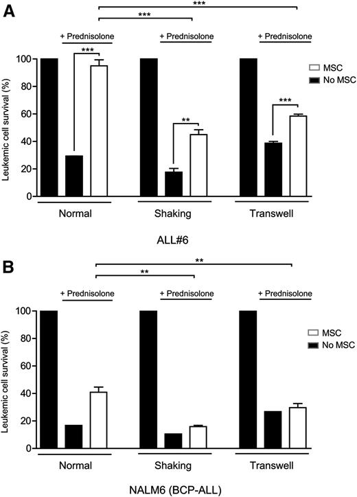 Figure 7. Inhibition of TNTs sensitizes BCP-ALL cells to prednisolone. (A) Leukemic cell survival of patient ALL#6 cells cultured with or without MSCs after 5 days of prednisolone exposure (0.3 µg/mL). All graphs show percentage compared with untreated control. TNT signaling was inhibited by shaking or transwell conditions (1-tailed t test, unpaired). Quadruplicates represent 4 different sources of MSCs (MSC#1, MSC#2, MSC#6, MSC#7). (B) Leukemic cell survival of BCP-ALL cell line NALM6 cultured with or without MSCs after 5 days of prednisolone exposure. All graphs show percentage compared with untreated control. TNT signaling was inhibited by shaking or transwell conditions (1-tailed t test, unpaired). Triplicates represent 3 different sources of MSCs (hTERT, MSC#1, and MSC#2). Data are means ± SEM; *P ≤ .05, **P ≤ .01 (see also supplemental Figure 10).