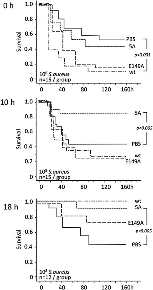Figure 1. Sepsis stage–related response to infusion of aPC variants. Gram-positive peritonitis was induced in the indicated numbers of wild-type mice by intraperitoneal infection with ∼108 live S aureus bacteria. Wild-type (wt) mouse aPC, or the recombinant mouse aPC variants 5A-aPC (5A; signaling-selective) and E149A-aPC (E149A; hyperantithrombotic) were administered by IV injection at 150 μg/kg body weight within 30 minutes after infection (0 hours) and at 10 or 18 hours after infection. Significance of differences in cumulative 7-day survival was determined by Mantel-Cox log-rank analysis of Kaplan-Meyer survival plots. PBS, phosphate-buffered saline.