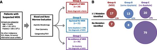 Figure 1. Prospective trial schema and diagnostic groups. (A) Schema showing how patients were screened and selected for entry. Patients were placed into 1 of 3 groups based on their bone marrow findings. (B) Proportions of patients with and without mutations in each diagnostic group are shown after DNA sequencing 22 genes associated with myeloid neoplasms.