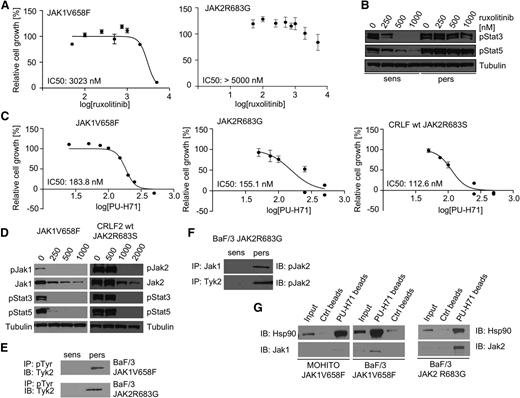 Figure 2. Pharmacologic loss of mutated JAKs can overcome persistence to ruxolitinib. (A) Proliferation of JAK-inhibitor persistent BaF/3 cell lines (JAK1V658F and JAK2R683G) with ruxolitinib. Cell growth relative to DMSO-treated control is shown. Data from wells plated in triplicates (s.d.) are shown and are representative of 3 independent experiments. (B) Western blot analysis revealing retained phosphorylation of JAK downstream targets Stat3 and Stat5 in persistent cells (BaF/3 JAK2R683G) treated with increasing concentrations of ruxolitinib. (C) PU-H71 inhibits potently the proliferation of ruxolitinib-persistent cells. Cell growth relative to DMSO-treated control is shown. Data from wells plated in triplicates (s.d.) are shown and are representative of 3 independent experiments. In each case, IC50 values are displayed. (D) Treatment with HSP90 inhibitor PU-H71 strongly reduces constitutive activation of signaling pathways downstream of mutant JAKs and causes degradation of total and phosphorylated JAK2 in ruxolitinib-persistent cells. Protein analysis of whole-cell lysates from BaF/3 JAK1V658F and CRLF2 wt/JAK2R683S cell lines is shown. Tubulin is shown as loading control. (E) Western blot analysis revealing that activation of Tyk2 is restricted to JAK-inhibitor persistent BaF/3 cell lines. (F) Immune precipitation of Jak1 and Tyk2 from JAK2R683G-expressing BaF/3 cells demonstrated that both tyrosine kinases only directly interact with phosphorylated Jak2 in persistent cells. (G) Immune precipitation of Hsp90 and Jak1 from ruxolitinib-persistent JAK1V658F-mutant cell lines (MOHITO, left panel; BaF/3, right panel) resulted in coprecipitation of the kinase and the chaperone protein with PU-H71–coated beads. Ctrl, control; DMSO, dimethylsulfoxide; IB, immunoblot; IP, immunoprecipitation; log, logarithmic; p, phosphorylated form; pers, ruxolitinib-persistent cells; s.d., standard deviation; sens, ruxolitinib-naive cells; wt, wild type.