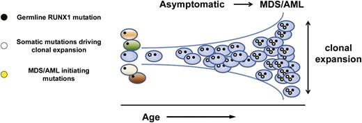 Figure 3. Clonal evolution in RUNX1 carriers. Asymptomatic carriers of pathogenic germ line RUNX1 variants develop early-onset clonal hematopoiesis (cumulative risk of 81% by age 50 years). As depicted in the model, this finding provides a rationale for testing the hypothesis that clonal hematopoiesis may provide a biomarker for early detection of disease progression in high-risk families.