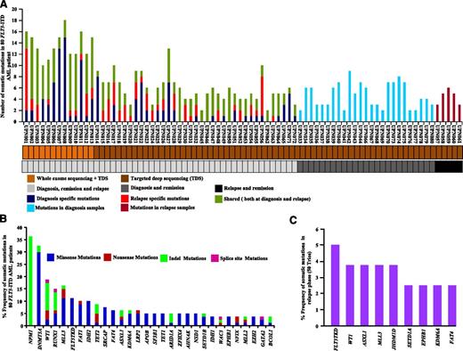Figure 1. Somatic mutations identified by WES and TDS of FLT3-ITD AML. (A) Number of mutations discovered for 50 individuals at DX, CR, and REL (light gray), 25 individuals at DX and CR (dark gray), and 5 individuals at CR and REL (black). Samples subjected to WES plus TDS or TDS only are color coded in light or dark brown, respectively. Dark blue, red, and dark green represent the number of somatic mutations at DX, REL, and both DX and REL, respectively. Light blue and magenta show the number of mutations observed in DX and REL samples, respectively. (B) Overall frequency of mutated genes in 80 FLT3-ITD AML patients. NPM1 gene mutations are missense frameshift mutations (green). (C) Frequency of specific somatic mutations detected only at REL in 50 trios (DX, CR, and REL paired).