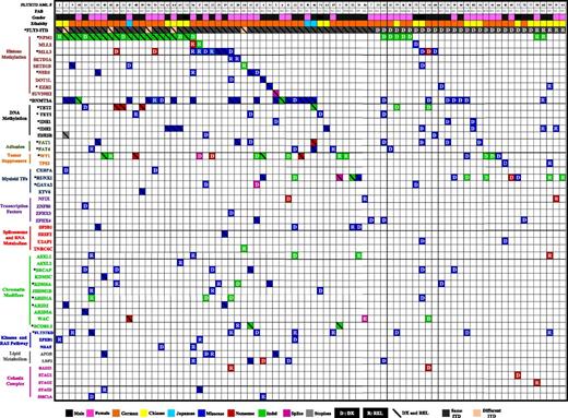 Figure 2. Distribution of somatic mutations in 80 patients with FLT3-ITD AML. Each column displays French-American-British classification, sex, and ethnicity of an individual sample; each row denotes a specific gene. Recurrently mutated genes are color coded for missense (blue), nonsense (red), indel (green), splice site (purple), and stoploss (gray). The letters D and R or diagonal lines denote somatic mutation at DX, REL, and both DX and REL, respectively. Asterisks mark genes mutated at a significant (false discovery rate <0.05) recurrence rate. Mutated genes are clustered according to their pathways or family.
