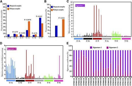 Figure 3. Distribution of mutational nucleotide classes between DX and REL paired samples. (A) Proportion of nucleotide transition and transversion mutations at DX and REL of 14 patients studied by WES. (B) Overall frequency of transversions at DX and REL (13 patients). Z test (proportion test) was used for statistical significance. (C-D) Mutational signature using a 96 substitution classification based on substitution classes and the sequence context immediately to the 5′ and 3′ ends of the mutated base. Mutation types are represented using different colors. Horizontal axes display type of mutations; vertical axes represent percentage of mutations in a specific mutation type. (E) Percentage contribution of the two mutational processes identified by EMu analysis.