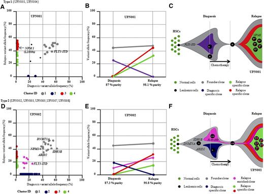 Figure 4. Clonal evolution from primary to REL in UPN001 and UPN002 and pattern of evolution observed in 13 DX and REL pairs. (A,D) Distribution of variant allele frequencies (VAFs) of validated mutations at DX and REL (UPN001 and UPN002). VAFs of genes in region of uniparental disomy are halved. Driver mutations, including FLT3-ITD, are indicated. Two mutational clusters were identified at DX and 2 were present at REL; 1 was present at both DX and REL. (B,E) Graphic representation of the relationship between clusters at DX and REL. Gray cluster represents founding clone at DX and REL. (C,F) Schematic representation of mutational clones and their evolution from DX to REL. Founder clone at DX evolved into REL clones by acquiring REL-specific mutations. HSC, hematopoietic stem cell.