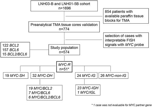 Figure 1. Flow-chart of LNH03-B and LNH01-5B cohort, case selection, and FISH results. BCL2-R, DLBCL with BCL2 gene rearrangement; BCL6-R, DLBCL with BCL6 gene rearrangement; MYC-R, DLBCL with MYC gene rearrangement; MYC-IG, MYC gene rearrangement with IG partner gene; MYC-non-IG, MYC gene rearrangement with non-IG partner gene.