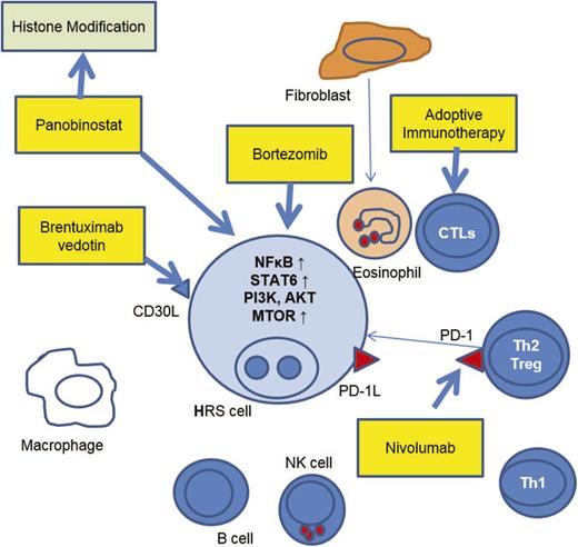 Figure 1. Therapeutic targets in the HRS cell and immunoreactive cells in the surrounding microenvironment. Agents highlighted in boxes indicate agents with pediatric Hodgkin lymphoma-specific data, or pediatric trials in progress.