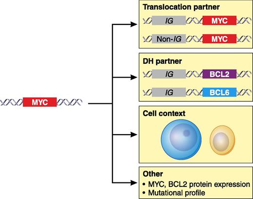 The biological effect of MYC translocation in DLBCL may be modulated by additional parameters that include the IG or non-IG partner gene involved in the translocation, the association with an additional translocation of the BCL2 or BCL6 genes in the so-called DH, the tumor cell context in which the alteration occurs such DLBCL, GCB or ABC, BCLu, and other factors such as the MYC or BCL2 protein levels. Additional studies are needed to explore other aspects such as the influence of somatic mutations in the tumor. Professional illustration by Patrick Lane, ScEYEnce Studios.