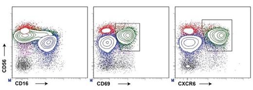 Figure 1. Identification of bone marrow and spleen resident NK cells