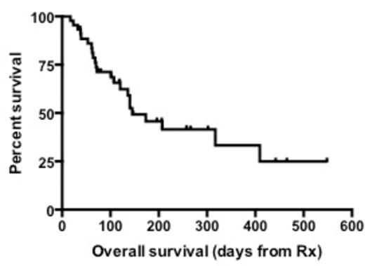 Figure 1. Survival of CLAG±M patients from treatment