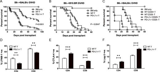 Figure 1. PD-L1-/- vs. WT donor T cells lessen GVHD lethality, independent of donor Treg function. (A) Survival of BALB/c mice with WT B6 or PD-L1-/- T cells. (B) Survival of B10.BR mice with WT B6 or PD-L1-/- T cells. (C) Survival of BALB/c mice with WT B6 or PD-L1-/- T cells, or with WT B6 or PD-L1-/- CD25 depleted T cells (recipients of WT T cells vs. WT CD25-depleted T cells, P = 0.0003; recipients of PD-L1-/- T cells vs. PD-L1-/- CD25-depleted T cells, P = 0.2306; recipients of WT vs. PD-L1-/- T cells, P < 0.0001). (D) BALB/c mice transplanted with WT B6 or PD-L1-/- T cells. Mice were killed on d7 post-BMT and splenocytes were analyzed for LPAM-1, CCR9, and CXCR3 expression (not shown) on donor T cells. (E-F) BALB/c mice were transplanted with B6 Ly5.2 T cells plus PD-L1-/- T cells. Mice were killed on d3 post-BMT and splenocytes were analyzed for CTLA-4 and Lag-3 expression on donor T cells.