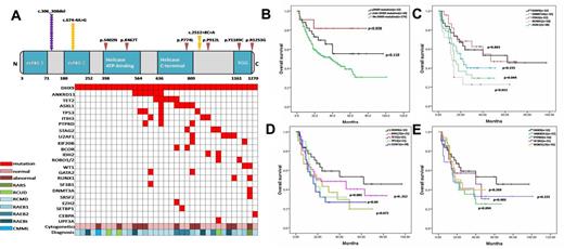 Figure 1. The distribution of DHX9 mutations and the effect of DHX9 mutations or combination with other genes mutations on patients' survival.
