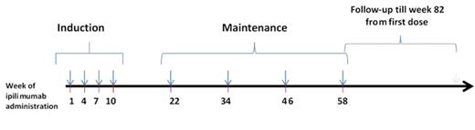 Figure 1. Administration schedule