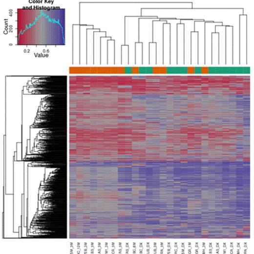 Figure 1. Bi-clustering of the methylation levels of gene promoters in responders (green: diagnosis and orange: response)