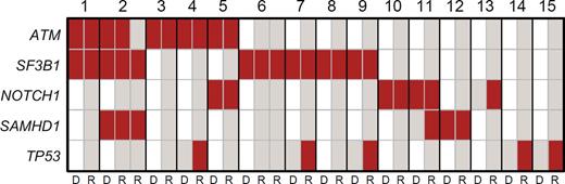 Figure 1. Distribution of gene mutations in 15 CLL cases with mutations at diagnosis or before treatment (D) and at relapse (R). Red = mutated, grey = wild-type, white = not analyzed.