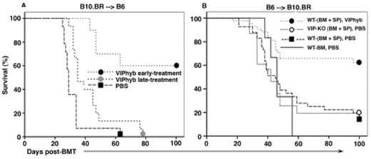 Figure 1. VIPhyb-treatment enhanced the GvL activity (5 x 106 TCD BM and 0.5 x 106 splenocytes from WT or VIP-KO donors)