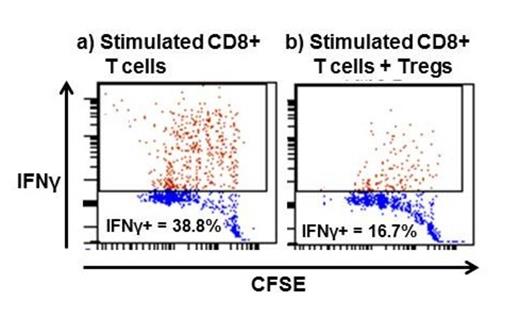 Figure 1. In vitro CD8+ IFNγ production decreases after Treg addition (representative diagram).