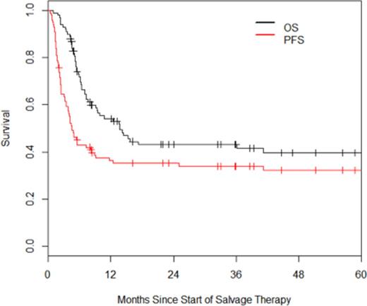 Figure 1. OS and PFS of patients with primary refractory DLBCL.