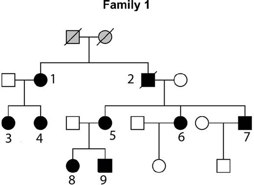 Figure 1. Family pedigrees.