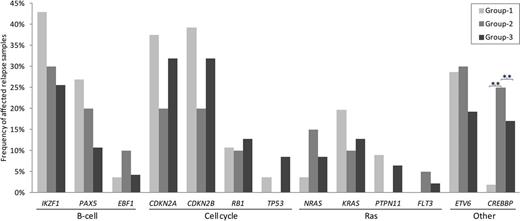 Figure 1. The frequency of genetic alterations in studied genes in patients that relapsed after treatment according to group-1, 2 and 3. Genes were grouped by their corresponding pathways. Group-1: patients treated upfront with high-amounts of CS and relatively mild additional chemotherapy (ALL9 NHR/HR); Group-2: patients treated with high-amounts of CS and intensive additional chemotherapy (ALL10 MR); Group-3: patients treated with low-amounts of CS and moderately-intensive additional chemotherapy (ALL8 SR/MR, ALL10 SR). Asterisk showed significant difference between upfront treatment groups, **p<0.001.