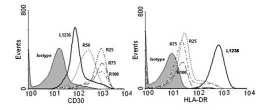 Figure 1. Expression of CD30 and HLA-DR in parental (L1236) and BDM-resistant (R) HL cells