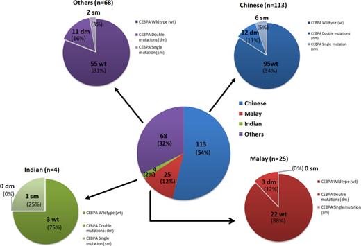 Figure 1. CEBPA mutational status across ethnic groups in a South-East Asian population (n=210)