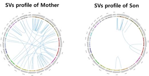 Figure 3. Circosplot of Structure Variantions(SVs) of mother and son