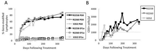 Figure 1. T-cells expansion in X-SCID dogs following FV treatment. A) Percent of gene-modified peripheral blood lymphocytes in each experimental arm after in vivo gene therapy. B) Absolute CD3+ count per μL peripheral blood in all treated animals. Dotted line indicates therapeutic counts of CD3+ cells.