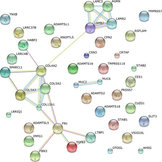 Figure 2. Association among Stromal genes in GCB and ABC subtypes of DLBCL using STRING.