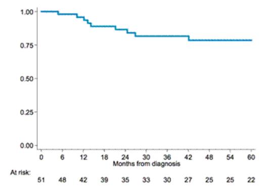 Figure 1. Progression-Free Survival. Median Follow-up 62 months (IQR 33-82).