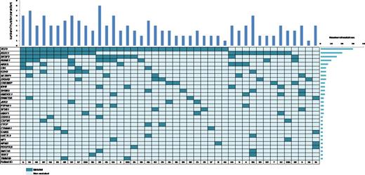Figure 1. Distribution of the affected genes across the 43 studied patients with CMML
