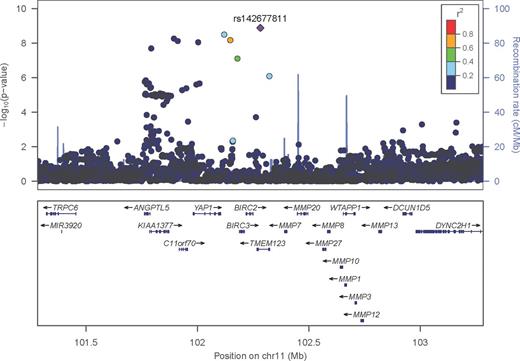 Figure 1. Plot of negative log p significance values for association statistics at the chromosome 11q22 region, bp 101282470-103282470 (h.g. build 19) in the Utah study, using locuszoom software (http://csg.sph.umich.edu/locuszoom/). The top associated SNP (rs142677811) is colored in purple and the remaining SNPs are colored according to linkage disequilibrium values (r2) with the top SNP.
