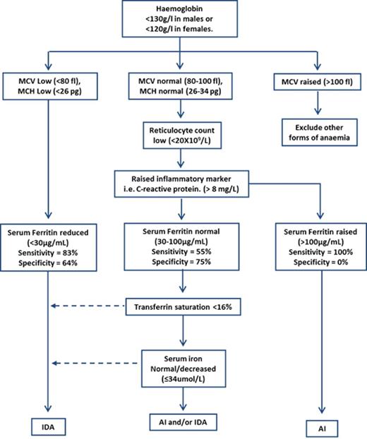 Figure 1. Current diagnostic testing pathway using 6 independent tests with serum ferritin used as the primary indicator of iron stores.