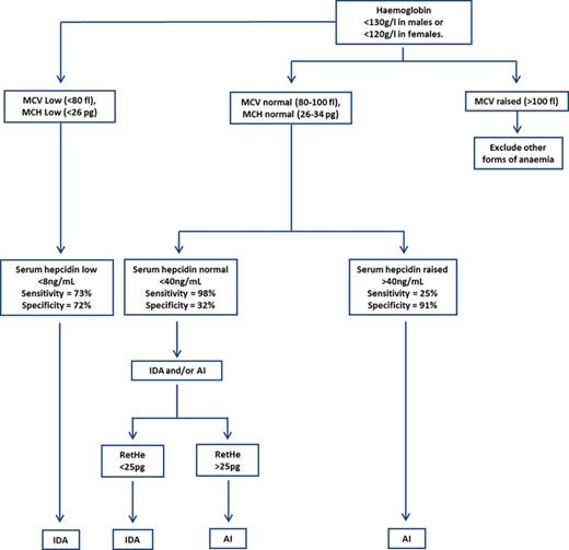 Figure 2. Suggestion of a new 2 step diagnostic testing pathway with serum hepcidin as the primary indicator and reticulocyte haemoglobin equivalent as the predictor of iron deficiency and response to oral iron.