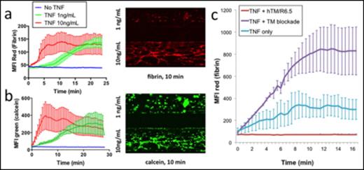 Figure 1. (a) Fibrin deposition and (b) leukocyte and platelet adhesion upon whole blood perfusion of endothelialized microchannels, pre-activated with 1 vs. 10ng/mL of TNF for 6 hours. (c) Role of endothelial TM in TNF-dependent microvessel thrombosis. TM blockade exacerbates fibrin deposition whereas ICAM-targeted TM fusion protein effectively eliminates coagulation.