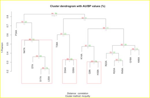 Figure 1. Unsupervised cluster dendrogram of mPF4s: hierarchical cluster analysis using nonpathogenic antibody samples. Boxes highlight significant clusters with a p value <0.05.