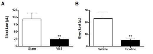 Figure 1. Vagus nerve stimulation (A) and nicotine administration (B) significantly reduce blood loss following traumatic hemorrhage in hemophilia A mice.