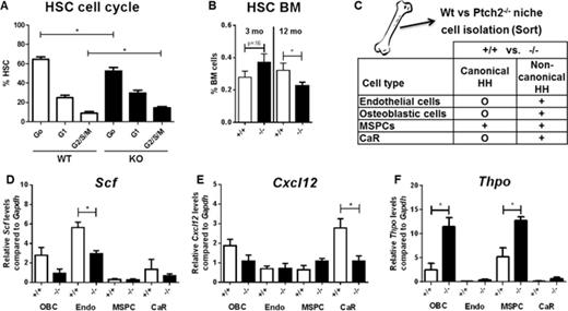 Figure 2. Cell cycle analysis of HSCs (Lin- cKit+ Sca1+) cells using Ki67 and FxCycle Violet Stain (n = 3). B Percentage of HSCs within the BM assessed by flow cytometry (n ≥ 6 each genotype) at 3 and 12 months of age. C BM niche cells from Wt and Ptch2-/- mice were purified via FACS. RNA samples were analyzed via Affymetrix GeneChip Mouse Gene ST 2.0 and evaluated via KEGG and oncogenic signature gene sets. + indicates significantly increased canonical or non-canonical HH-signaling pathway within specified Ptch2-/- subpopulations. D-F qPCR for Scf (D), Cxcl12 (E) and Thpo (F) in sorted OBCs, MSPCs, Endo and CaR cells purified from Wt and Ptch2-/- mice. Transcript levels are shown relative to Gapdh.