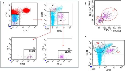 Figure 1. FACS sorting strategies. / A. CD45- CD3- CD34- CD8a+ CD31+ for SLC; CD45- CD3- CD34+ CD8a- CD31+ for SEC. / B. SEC and SLC are separate populations by size and complexity. / C. CD31, CD8a profile of SEC and SLC