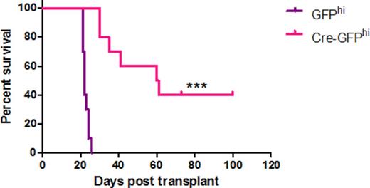 Figure 2. Deletion of the Hoxa cluster results in significant increase in survival of Cre-GFPHi AFlox-MA9 mice compared to GFPhi control mice (n=10). Significance as calculated by Log-rank (Mantel-Cox) Test is denoted *** = p<0.001.